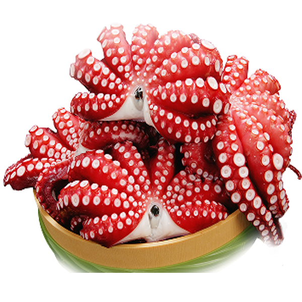 FROZEN FLOWER STYLE OCTOPUS (GUTTED)